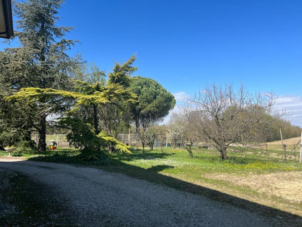 تيسّيرا B&B Airport Venice Diego 2 المظهر الخارجي الصورة